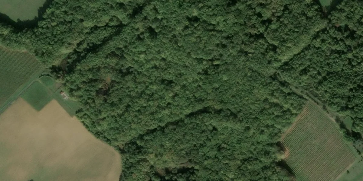 Domaine des Mille Chênes
