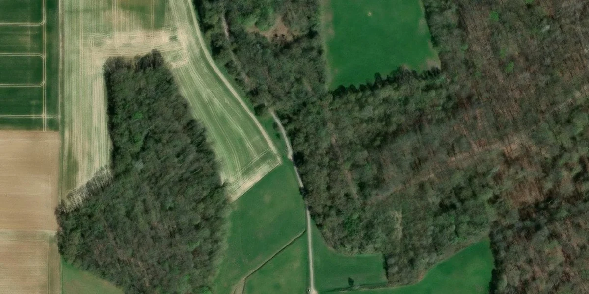 Domaine de Forest Hill
