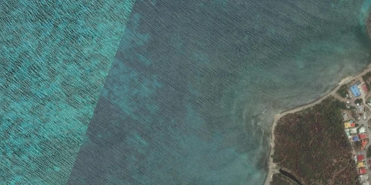 Coconut Trees Go Kart