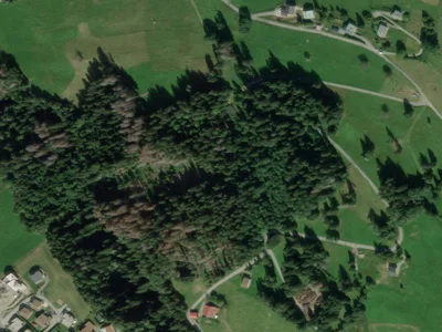 Photo du terrain Balancerie