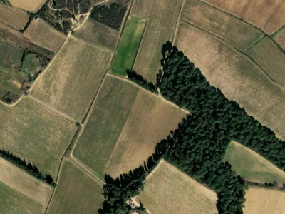 Photo du terrain Circuit Moto Cross de Beaumont - Lasplagne