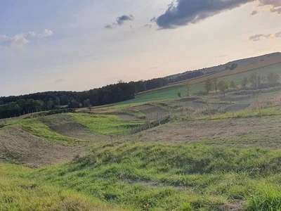 Photo du terrain Circuit Moto Cross de Riedseltz