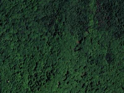 Photo du terrain Accous VTT
